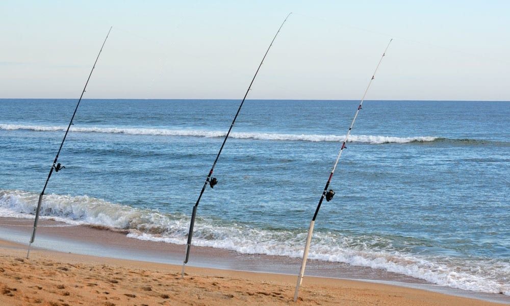 Il gusto della scelta: La canna da Surfcasting